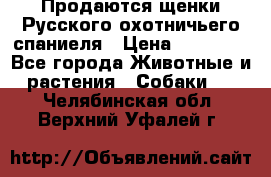 Продаются щенки Русского охотничьего спаниеля › Цена ­ 25 000 - Все города Животные и растения » Собаки   . Челябинская обл.,Верхний Уфалей г.